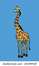 Ms. Giraffe