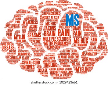 MS Multiple Sclerosis Brain Word Cloud On A White Background.