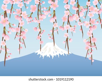 Mt. Fuji which is the highest mountain in Japan and cherry blossoms