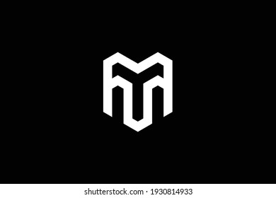 Diseño del logotipo de la carta MT sobre fondo de lujo. Concepto de logotipo de letras de monograma de TM. Diseño de iconos MT. Diseño de iconos de letras blancas elegantes y profesionales de TM sobre fondo negro.