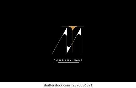 MT, TM Abstract Letters Logo Monogram