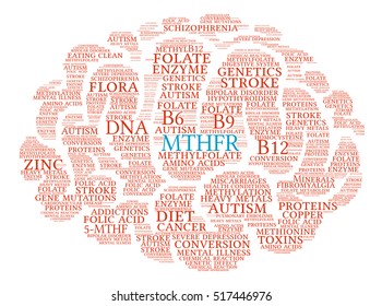 MTHFR Brain word cloud on a white background. 