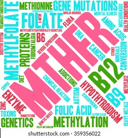 MTHFR word cloud on a white background. 