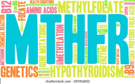 MTHFR word cloud on a white background. 