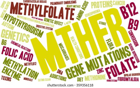 MTHFR word cloud on a white background. 