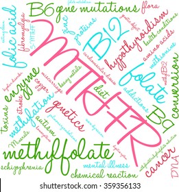 MTHFR word cloud on a white background. 