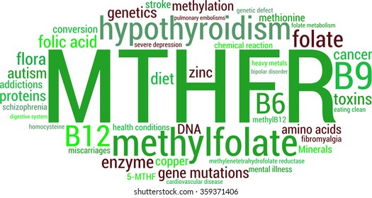 MTHFR word cloud on a white background.