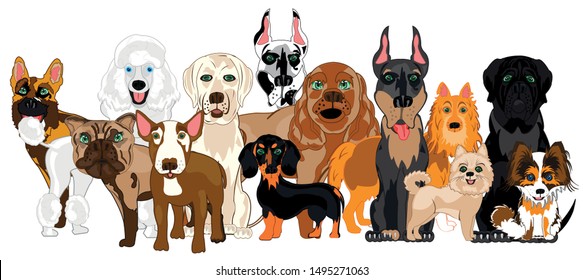 Much sorts of the dogs on white background is insulated