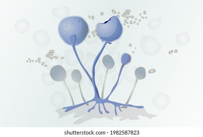 Mucormycosis - Mucor Fungus Spores - Illustration as EPS 10 File