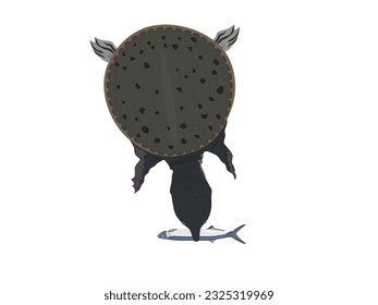 mud turtle on a white background.