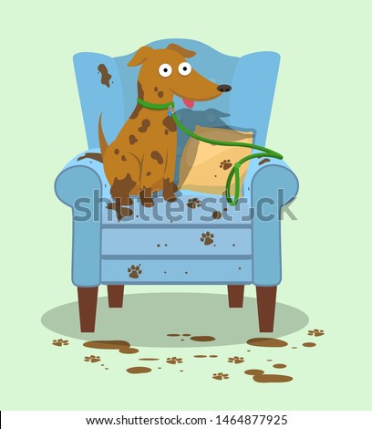 A muddy dog sits on a ruined wingback chair. ストックフォト © 