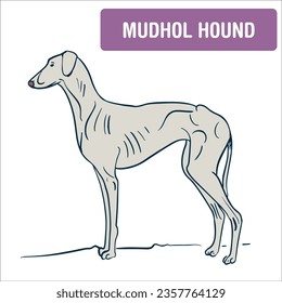 Dibujo de la línea de ilustración de Mudhol Hound 