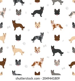 Mudi seamless pattern. Different poses, coat colors set.  Vector illustration