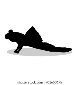 Mudskipper fish black silhouette aquatic animal. Vector Illustrator.