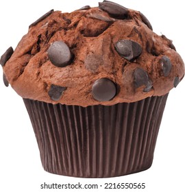 Muffin cake isolated illustration chocolet dessart baked snack