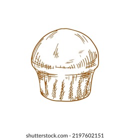 Muffin or cupcake, isolated pastry food sketch. Vector baked cake bun, bakery dough product