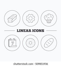 Muffin, donut and toast bread icons. Fresh bread linear signs. Flat cogwheel and calendar symbols. Linear icons in circle buttons. Vector