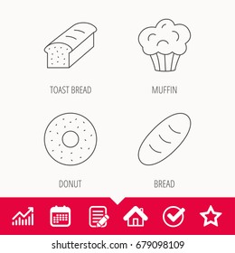 Muffin, donut and toast bread icons. Fresh bread linear signs. Edit document, Calendar and Graph chart signs. Star, Check and House web icons. Vector