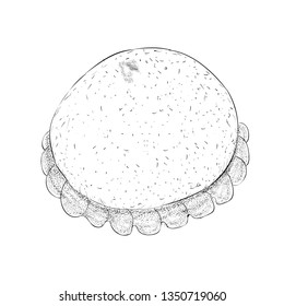 Muffin illustration vector, hand drawn image 