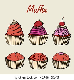 Muffin set simple illustration . Cupcake collection with different flavors . Colored hand drawn 6 muffin cookies .