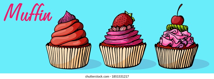 Muffin set simple illustration . Cupcake collection with different flavors . Colored hand drawn 6 muffin cookies .