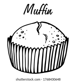 Muffin simple illustration . Cupcake with different flavors . Outline hand drawn muffin cookie.