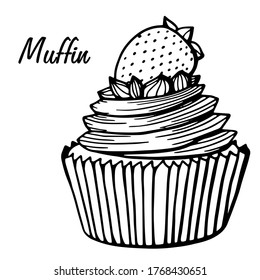 Muffin simple illustration . Cupcake with different flavors . Outline hand drawn muffin cookie.