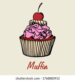 Muffin simple illustration . Cupcake with different flavors . Colored hand drawn muffin cookie .