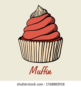 Muffin simple illustration . Cupcake with different flavors . Colored hand drawn muffin cookie .