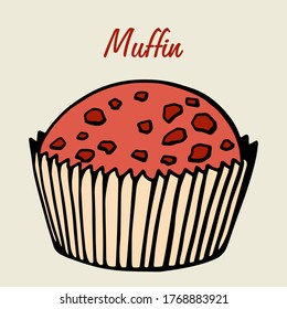 Muffin simple illustration . Cupcake with different flavors . Colored hand drawn muffin cookie .