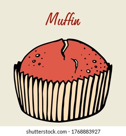 Muffin simple illustration . Cupcake with different flavors . Colored hand drawn muffin cookie .