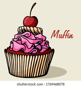 Muffin simple illustration . Cupcake with different flavors . Colored hand drawn muffin cookie .