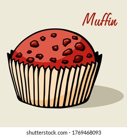 Muffin simple illustration . Cupcake with different flavors . Colored hand drawn muffin cookie .