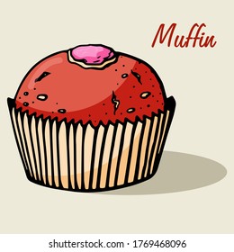 Muffin simple illustration . Cupcake with different flavors . Colored hand drawn muffin cookie .
