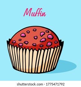 Muffin simple illustration . Cupcake with different flavors . Colored hand drawn muffin cookie .