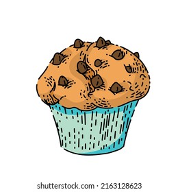 muffin sketch hand drawn vector chocolate breakfast, deliciuos dessert, vanilla snack vintage color line illustration