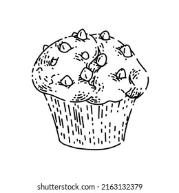muffin sketch hand drawn vector chocolate breakfast, deliciuos dessert, vanilla snack vintage black line illustration