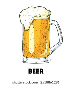 Mug of beer. Hand drawn vector illustration. Beer mug