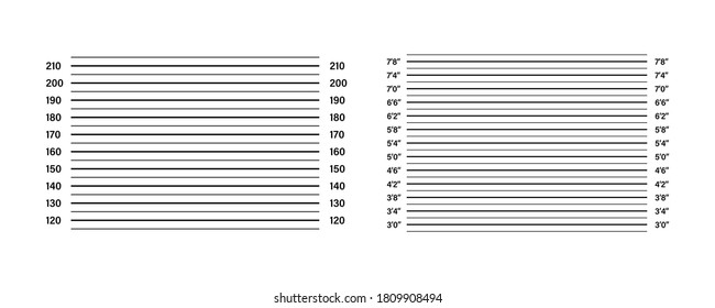 Mug boards line template. Vector isolated templates. Police lineup or mugshot background. Stock vector. EPS 10