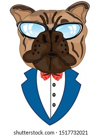 Mug of the bulldog but suit and spectacles