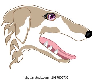 Mugre del perro del tipo de galgo de lado