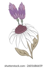 Mughal Art, Indian Style Motif Isolated on a white Background. textile design textile print. red, yellow, pink, purple, maroon flowers.
