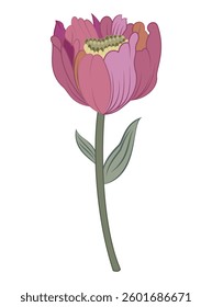 Mughal Art, Indian Style Motif Isolated on a white Background. textile design textile print. red, yellow, pink, purple, maroon flowers.