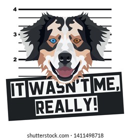 Mugshot Australian Shepherd
