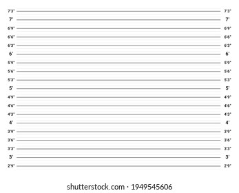 Mugshot background. Police lineup wall. Mug-shot measuring scale.