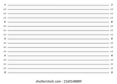 Mugshot background. Police lineup wall with an imperial units scale.