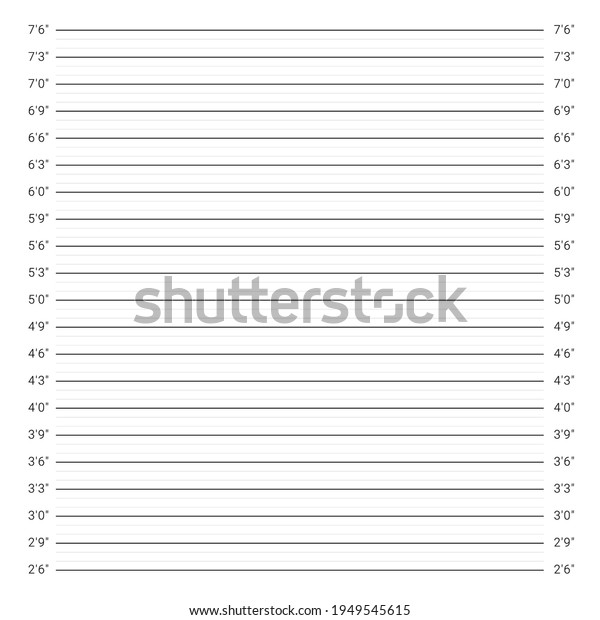 Mugshot Background Police Wall Height Measuring Stock Vector (Royalty ...