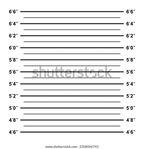 Mugshot Police Lineup Background Vector Clipart Stock Vector (Royalty ...