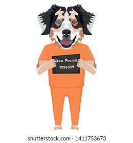 Mugshot prison clothes dog Australian Shepherd
