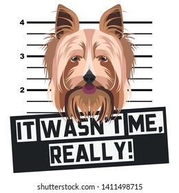 Mugshot Yorkshire Terrier
